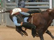 Professional Bull Riding University Being Planned Colorado