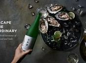 Interactive Japanese Sake Pop-Up Launch Iconic Seafood Restaurant Francisco