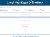 Best Free Plagiarism Checkers Writing Perfect Research Papers