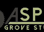Aspen Grove Studios Black Friday Discount [Cyber Week