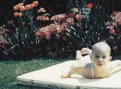 Final" Adoption Story