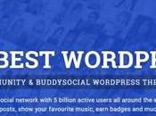 Welcome, Brndle Themes. Collection Quality Blogging Multipurpose WordPress Themes