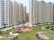 Home Where Find Comfort Growth Together