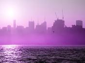 Purple Times Three [but Rain]