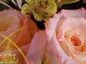 Thirty Days Jesus Repeat: Introduction