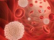 What Cells? Ayurveda Useful Increasing Levels?