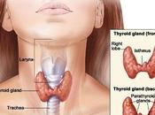 Treatment Thyroid Disease Ayurveda