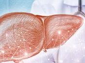 Limiting Carbs Likely Better Than Drugs Fatty Liver