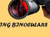 Best Birding Binoculars Picks (2019-2020)