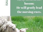 Thirty Days Jesus Repeat: Shepherd