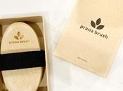 Health Holidays: Ionic Prana Body Brush Makes Perfect Gift