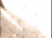 Policeman Seen With Highway, Asking Passenger Bring Card (Watch Video)