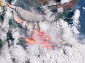 Food from Heaven Ravaging Australian Bushfire