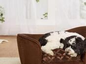 Tips Choosing Dog-Friendly Living Room Furniture