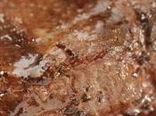 Journal Firestorm: JAMA Documents Orchestrated Backlash