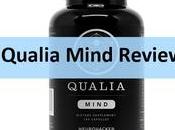 Qualia Mind Review: Flaws Should Take Note