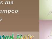 What Best Shampoo Color Treated Hair?