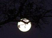 Moondust, Dust Dust?