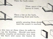 Prata Potpourri: Archaeological Discoveries, Riding Camel, Lost Gift Certificate, Open Book, More