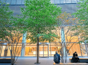 Creating Greener Office Space Your Business