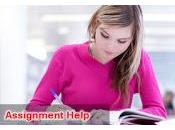 Need Best Assignment Help From Specialists Entirely Sensible Costs