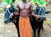 Kambala Race Srinivasa Gowda 100M Less Than Broken Bolt