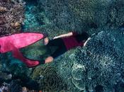 Divers' Favourite: Pescador Island