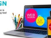 Hire Best Website Development Company Delhi