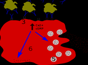 Higher Level Complications Ayurvedic Treatment