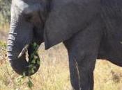 Mysterious Sight Haiku