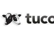 Motley Fool Contributor Looking Tucows Bounce Back