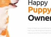 WordPress Themes 2020