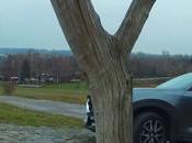 БІЗНЕС Тест Драйв Mazda CX-5