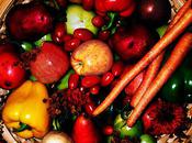 Fiber What Need Know