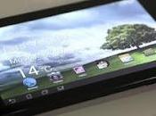 Cheap Google Nexus Tablet Inches Posted Start Next Month