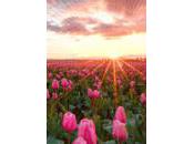 Conversation with Life