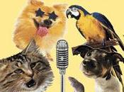 American Japanese) Pets Talent (VIDEOS)