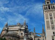 Contest Show Your Sunny Days Win!