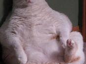 Twenty Wonderful Words Which Shouldn't Allowed Wither