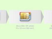 Nano-SIM Format Been Standardized, Smaller Sized From Micro-SIM