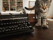 Hemingway's Polydactyl Cats Toeing Line With Federal Govt