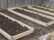 Coronavirus Kansas: First Week