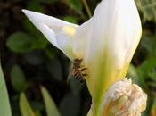 Emotional Fallout COVID-19 Lockdown