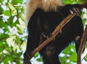 Moving Away from Covid Diseases Dealt Cinema