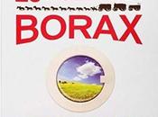Does Borax Kill Fleas?
