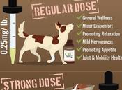 Dosage Pets Revealed