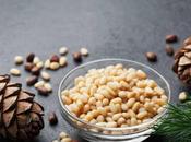 Health Benefits Eating Pine Nuts (Chilgoza) Your Mind Body