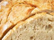 Rustic No-Knead Bread Recipe