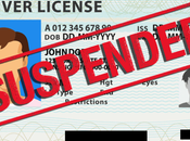 Renew Suspended License