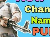 Change Name PUBG